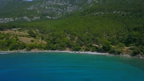 beach over fly forest sea