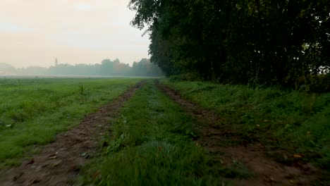 Dirt-road-path-lined-with-trees-at-foggy-autumn-morning-in-Central-Europe