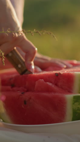 primer plano de una sandía roja jugosa cortada a mano con una corteza verde vibrante al aire libre durante la hora dorada, sandía fresca y madura cortada en pedazos en un plato, rodeada de suave naturaleza