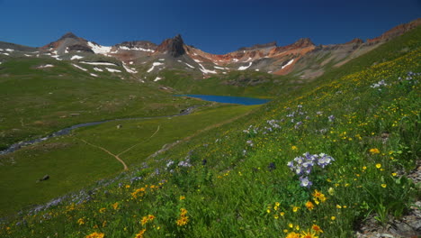 Filmisches-Himmlisches-Paradies,-Eis,-Seebecken,-Weg,-Alpine-Wildnis,-Akelei,-Purple-State,-Wildblumen,-Atemberaubendes-Colorado,-Silverton,-Telluride,-Felsiges-Gebirge,-Schnee,-Sommer,-Schön,-Noch-Immer,-Stativ