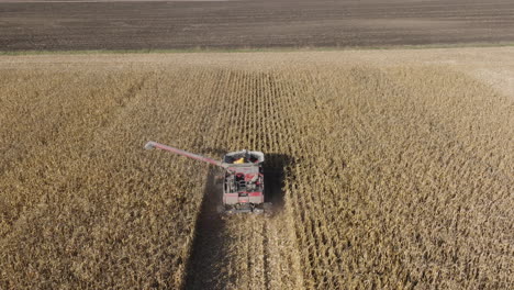 combine harvester harvesting corn crop farm field, aerial