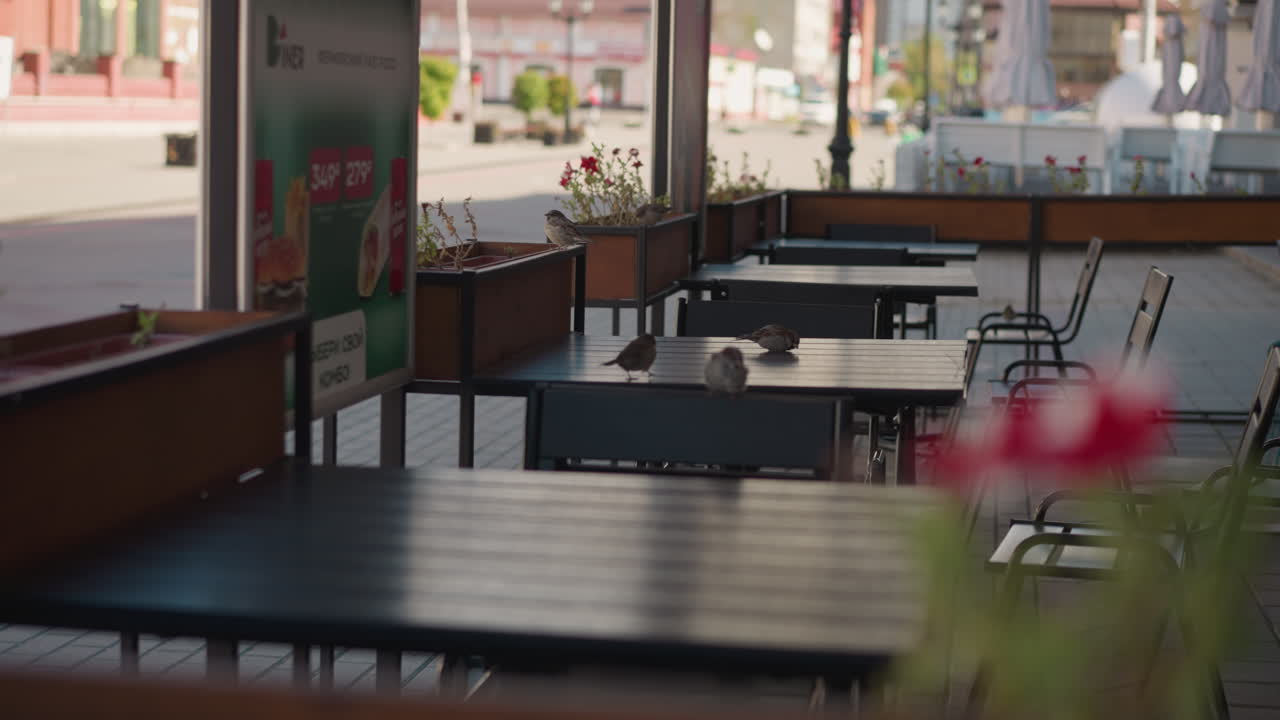 야외 카페 테이블은 벌레가 그 위에 앉아 있으며, 비 식물과 조용한 거리를 배경으로 둘러싸고 있으며, 자연 및 건축 요소와 함께 평화로운 도시 환경을 포착합니다.