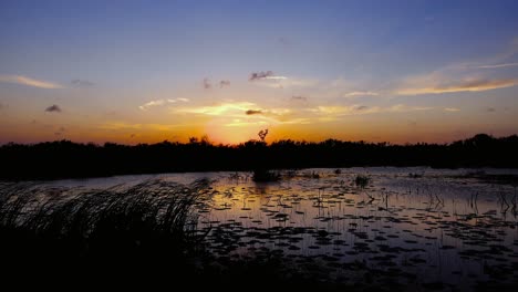 hermosa puesta de sol desde un pantano de texas
