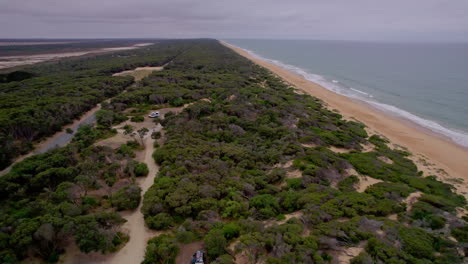 aerial shot rising over remote campsite at 90 mile beach in victoria, revealing endless sandy beach, dunes, and lush green vegetation along the wild coastline