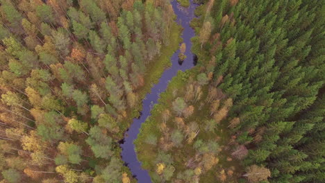 Imágenes-Aéreas-De-Un-Río-Y-Un-Bosque-En-La-Zona-Boreal