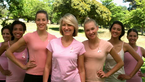 Grupo-De-Mujeres-Vestidas-De-Rosa-Por-El-Cáncer-De-Mama-En-El-Parque.