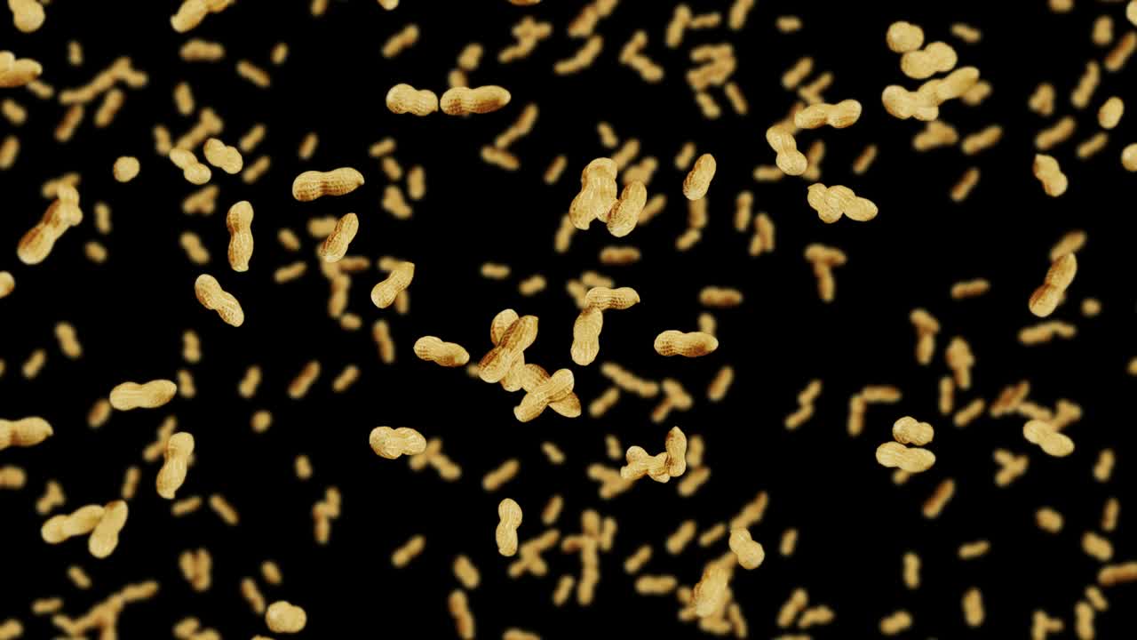 volando muchos cacahuetes en fondo negro. cacahuetes crudos. cacahuete en conchas. alimentos orgánicos saludables. animación de bucle 3d de la rotación de semillas.