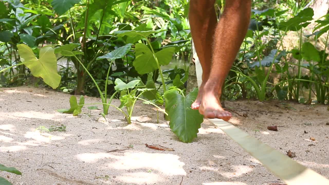 Medium shot of a man slack lining in a tropical jungle environment
