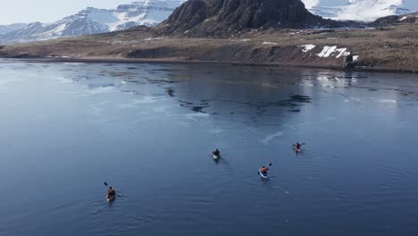 four kayakers paddling in super calm fjord water in iceland, adventure trip