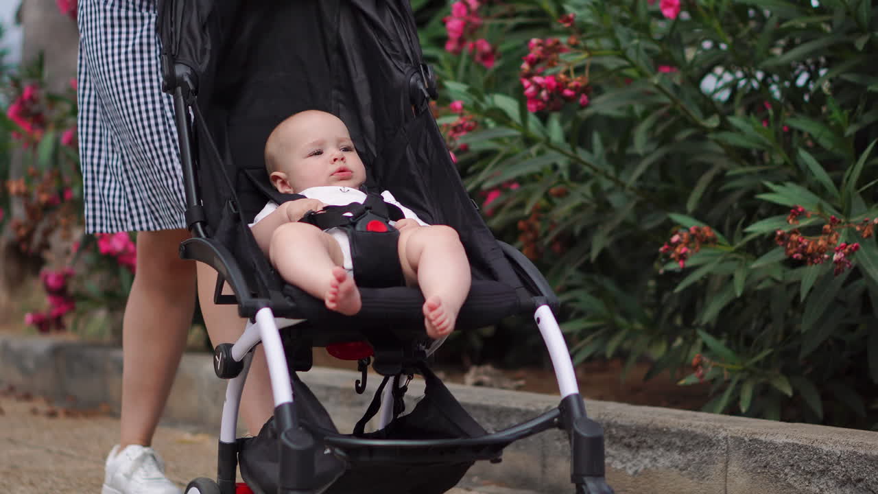 A blooming summer park provides the backdrop as a young mother enjoys a leisurely stroll with her baby in a stroller. Walking with her son brings her immense joy