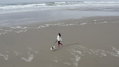 woman walking pet dog on empty beach, aerial arc shot