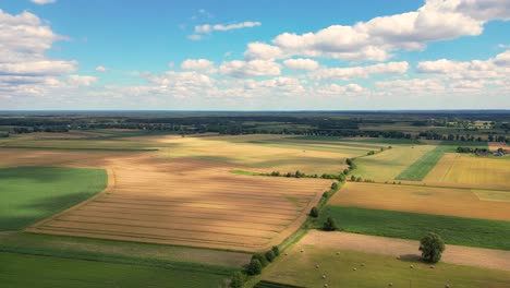 Luftaufnahme-Mit-Der-Landschaftsgeometriestruktur-Vieler-Landwirtschaftlicher-Felder-Mit-Verschiedenen-Pflanzen-Wie-Raps-In-Der-Blütezeit-Und-Grünem-Weizen