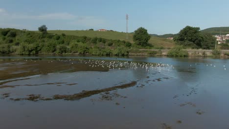 Lago-Sin-Hielo-En-Invierno