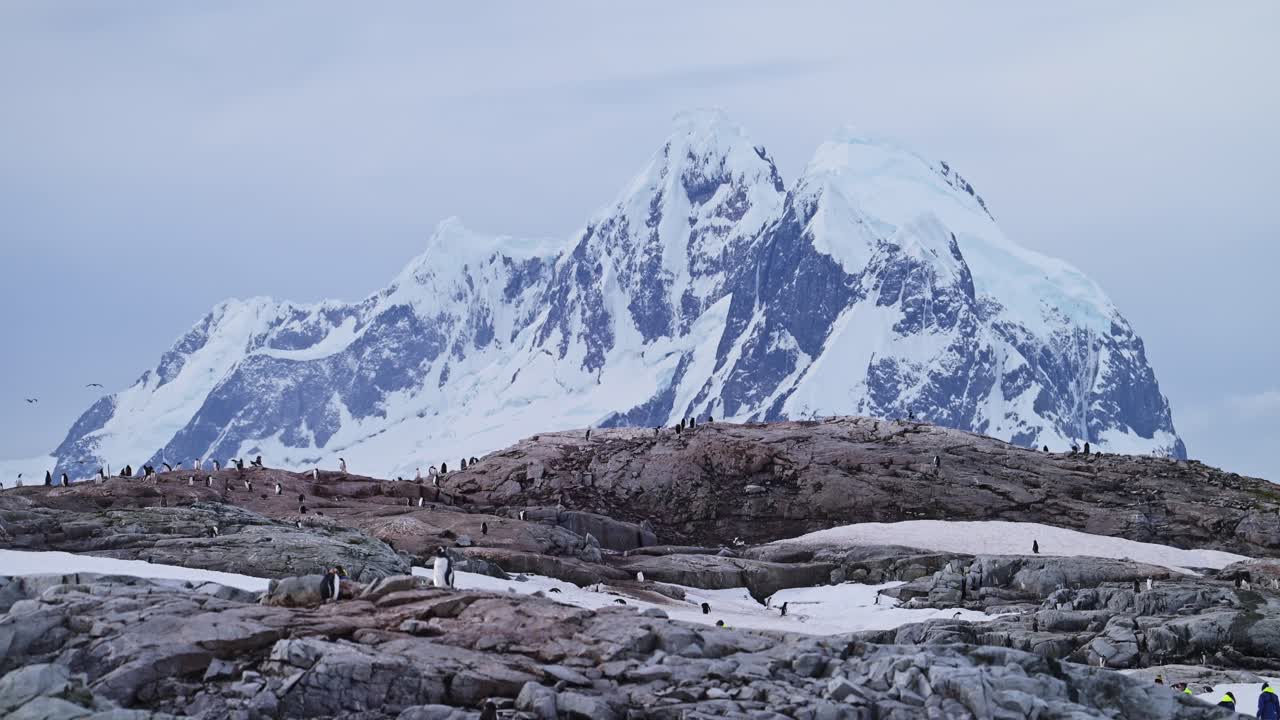 남극 산맥 풍경과, 젠투  식민지 및 아름다운 극적인 놀라운 풍경 남극 반도 산꼭대기와 산꼭대기의 바위 위에