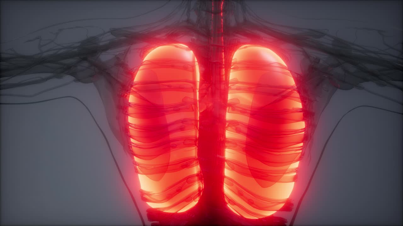 examen radiológico de los pulmones humanos