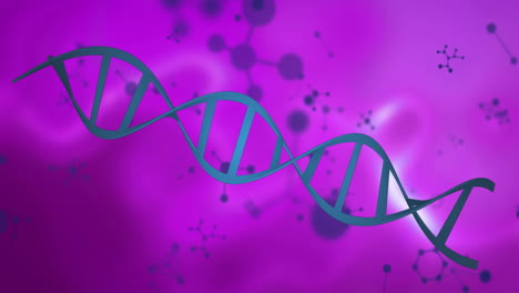 cadena de adn y estructuras moleculares animadas sobre un fondo púrpura