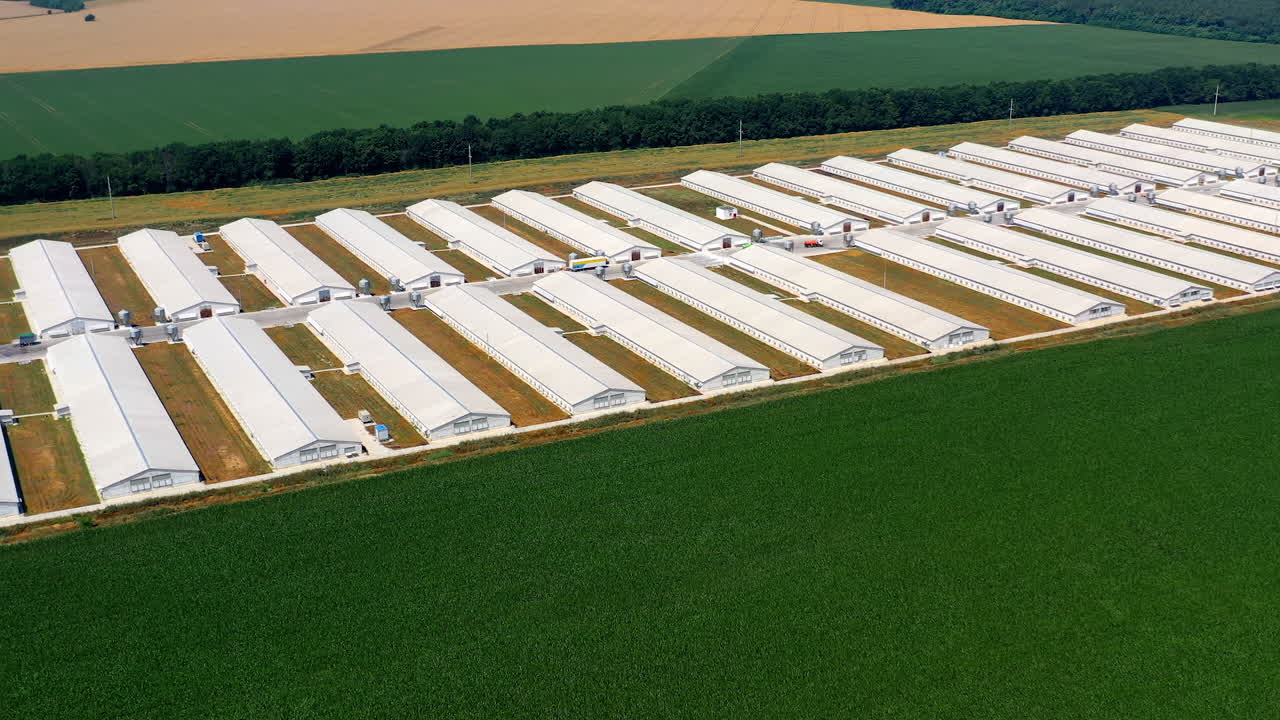 Motion camera view from the drone at the big farm in the midst of green field. Farming concept. Aerial view