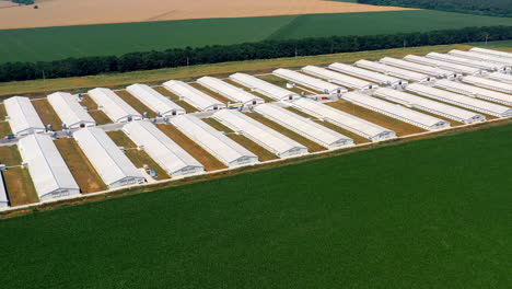 motion camera view from the drone at the big farm in the midst of green field. farming concept. aerial view