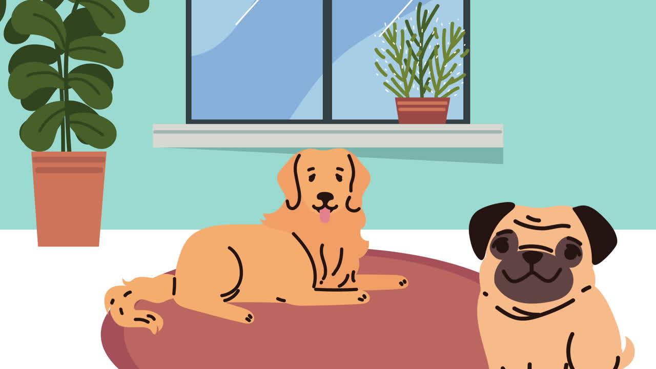 집에 있는 개들