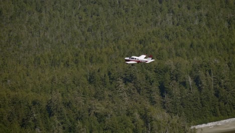 light private plane flying over dense forest, air to air view