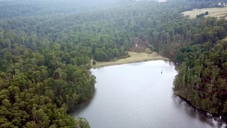 aerial footage forest and the wombat creek dam, bullarto, june 2021, victoria, australia