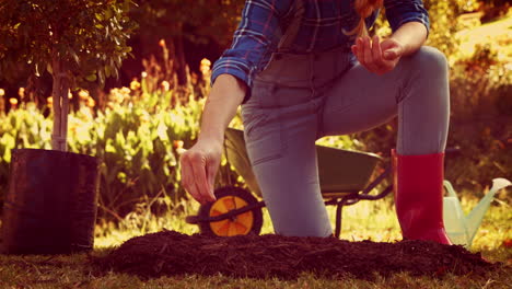 woman digging soil and planting flower