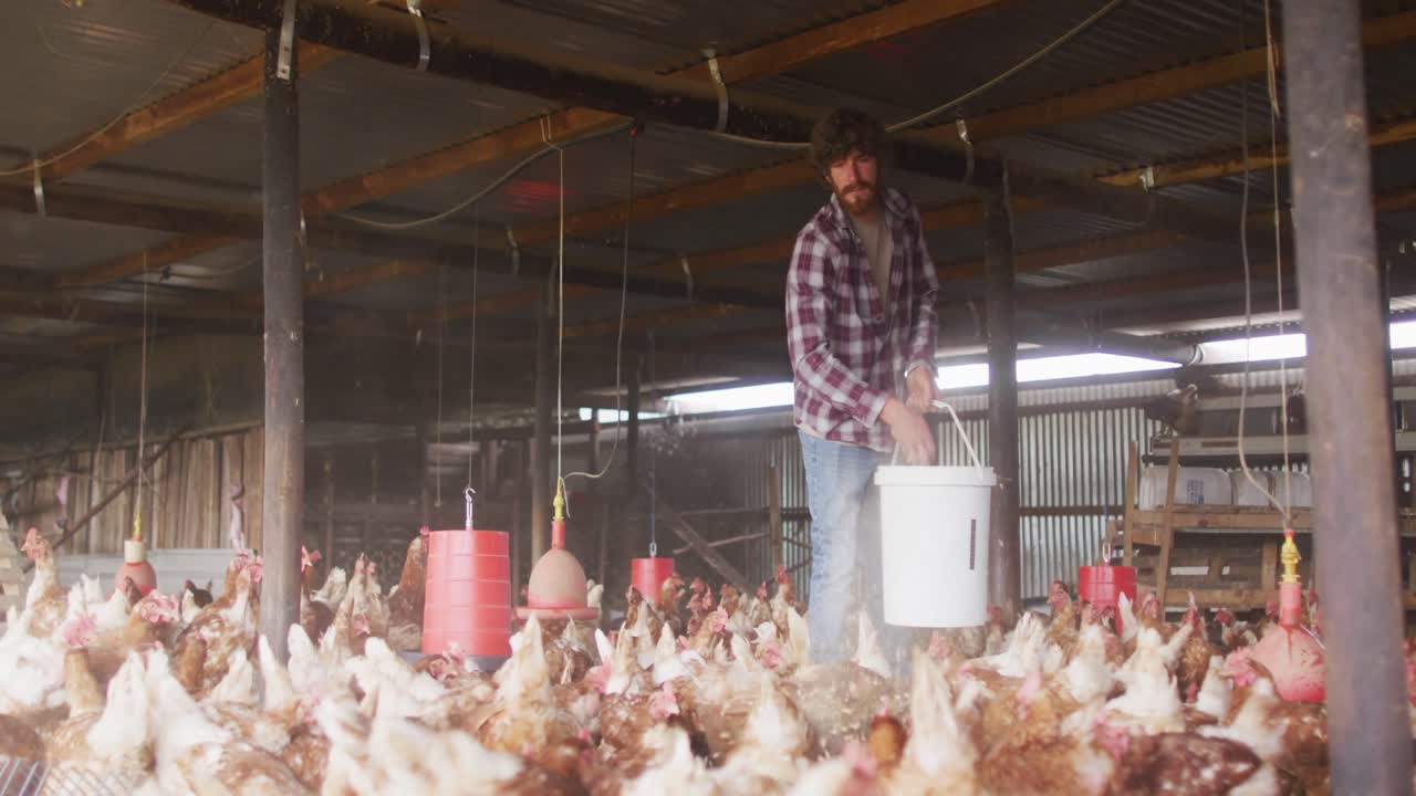 Uomo caucasico felice, che lavora in fattoria, mentre nutre le galline.