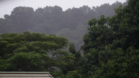 Rainfall-on-rooftops-in-southern-Krabi,-Thailand,-during-the-tropical-rainy-season,-surrounded-by-lush-green-trees