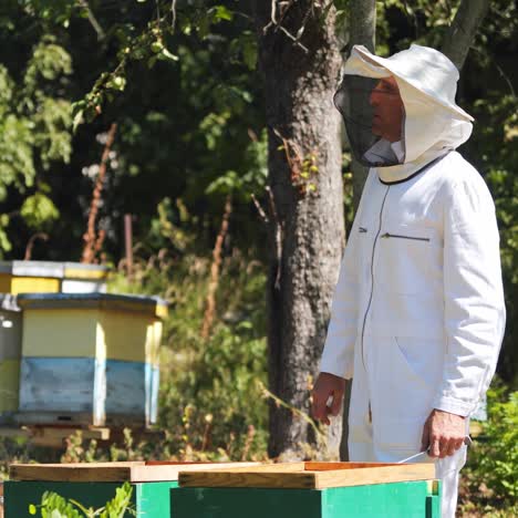 beekeeper is working with bees and beehives on the apiary. beekeeper on apiary