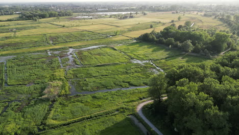 Aerial-Reveal-of-Natural-Reserve-of-Bourgoyen-Ossemeersen-With-Swamp