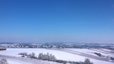 idyllic view of snowy landscape at the countryside wine region in zistersdorf, lower austria