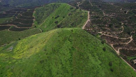 Scenic-View-Of-Greenery-Mountains-With-Terraced-Fields-And-Plantations-Near-Pomaire,-Santiago-de-Chile