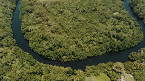 Vista-Aérea-Del-Pantano-De-Manglar-Rodeado-De-Exuberante-Selva-Tropical-En-El-Paredón,-Guatemala---Disparo-De-Drones