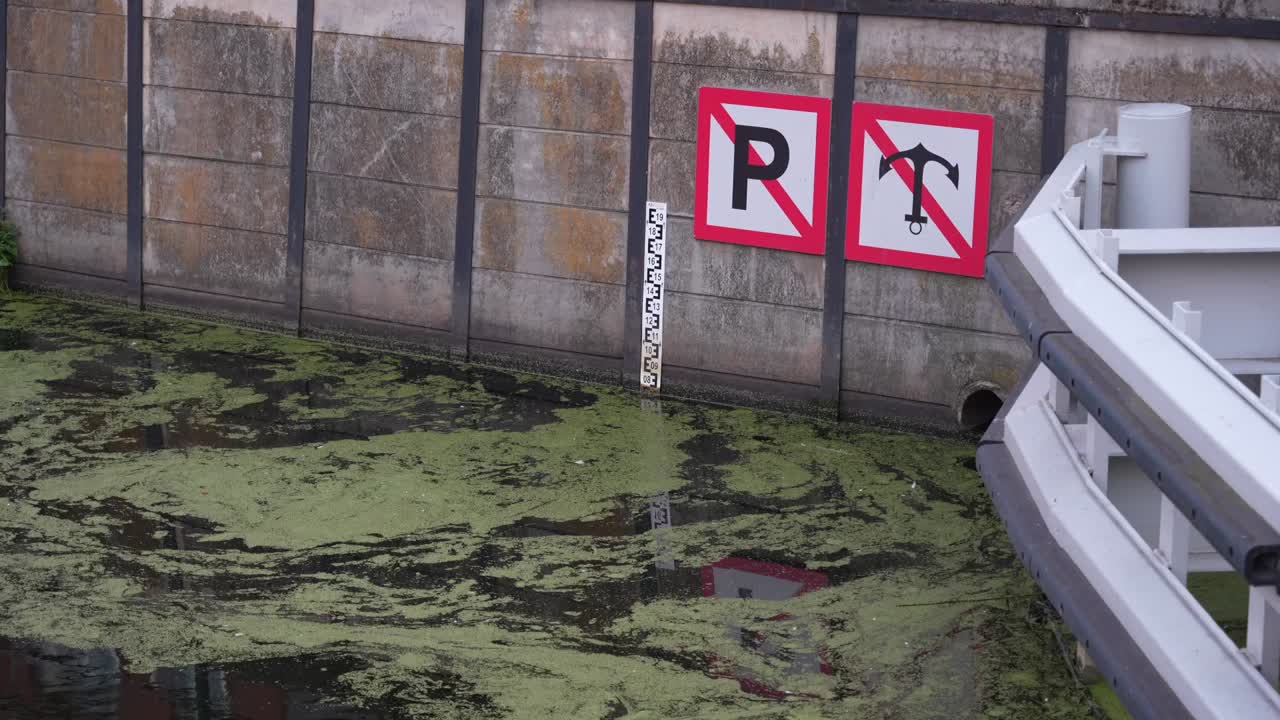 Water level indicator in dirty algae covered water. Pollution in European city