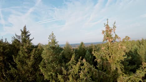 Fpv-shot-almost-touching-the-tip-of-the-tree