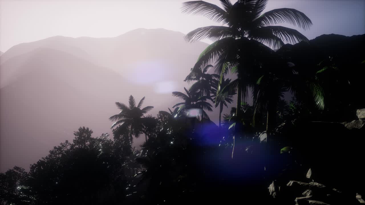 los rayos del atardecer a través de las palmeras