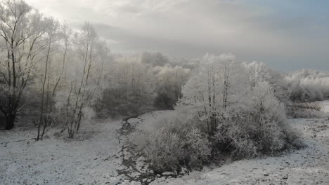 frozen trees landscape, frost in forest, sun shine through clouds, aerial panorama