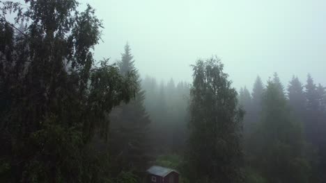 Boom-down-flyover-of-a-mysterious-cloud-forest-with-a-lonely-and-terrifying-cabin