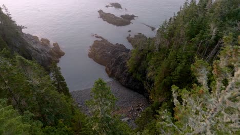 gorgeous aerial descent through forest reveals maine's rocky shoreline