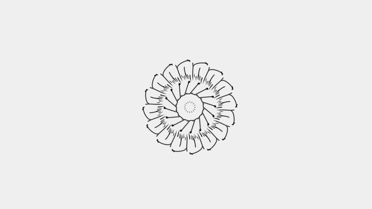 Arte mandala su carta bianca su iPad