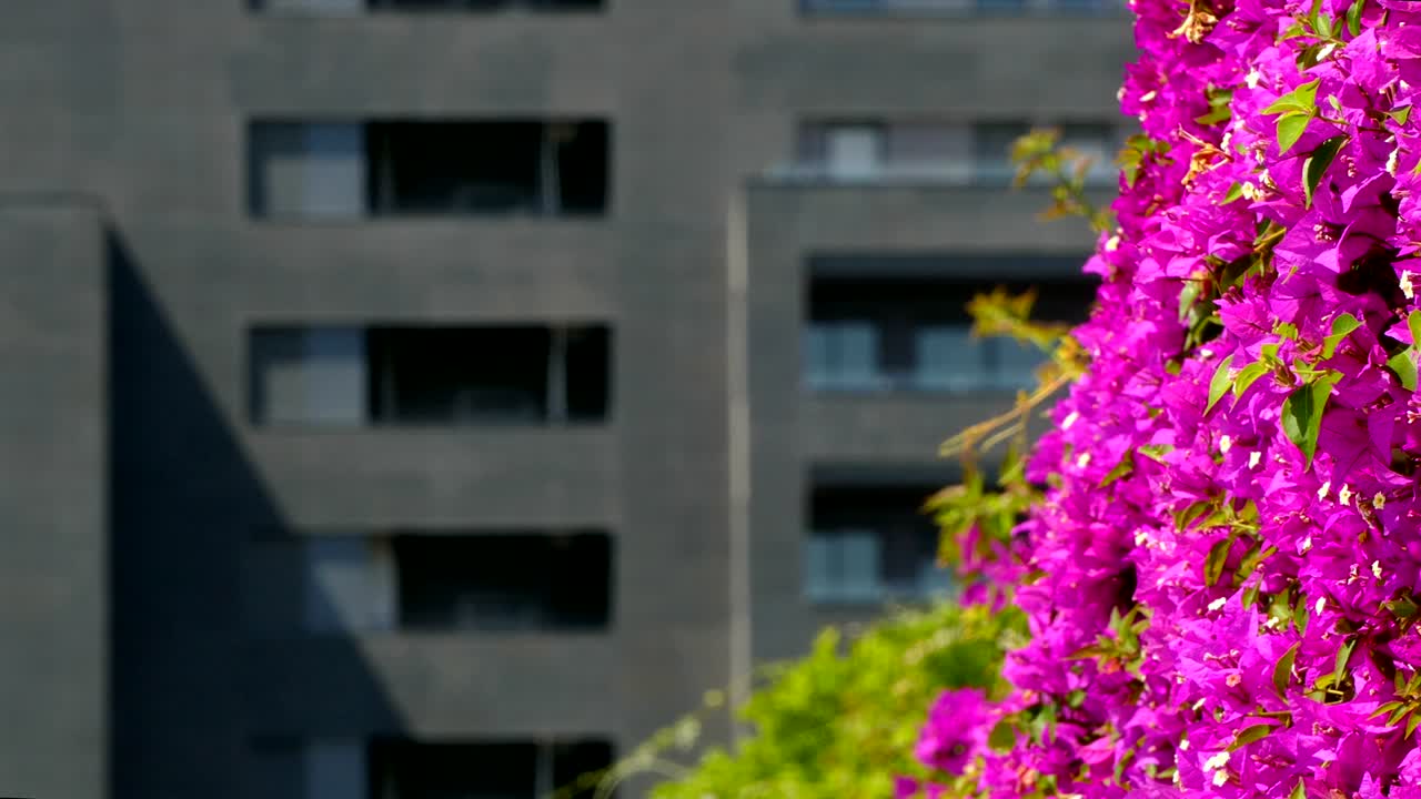 지속가능한 도시