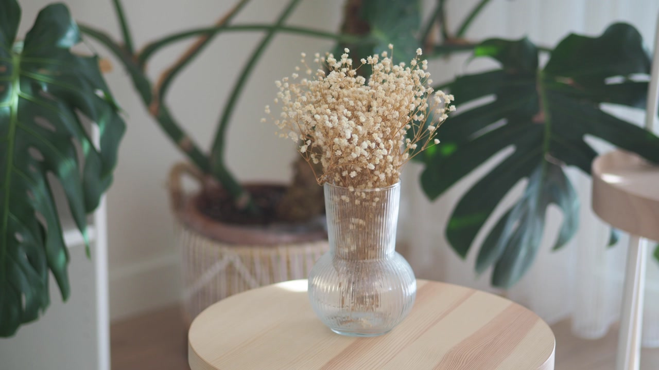 Dried Baby's Breath Flowers in Vase on Wooden Table with Green Plants
