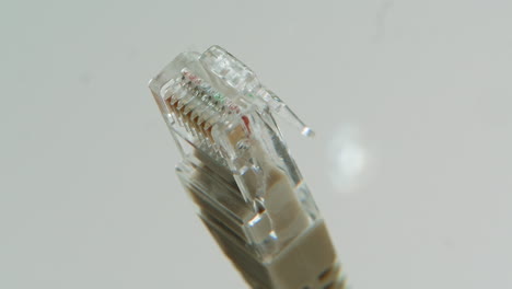 close-up of an rj45 connector
