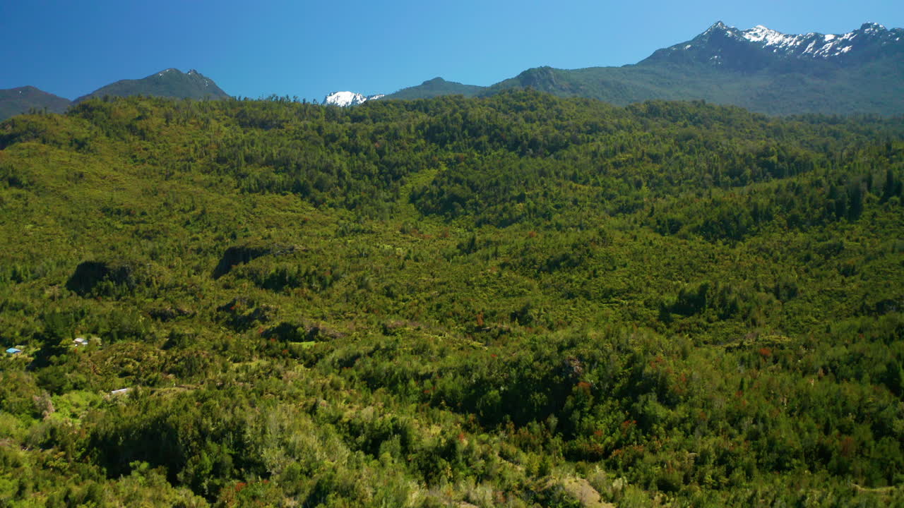 amplio paisaje aéreo de los frondosos bosques alrededor del estuario de reloncavi, mostrando las montañas nevadas en el horizonte