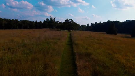 Drone-Shot-of-Fields-up-to-trees-and-above