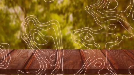 animación digital de la topografía sobre superficie de madera contra el camino forestal en el fondo