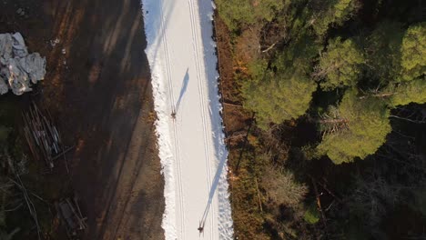 Man-Skiing-Down-Snowy-Trail-Surrounded-By-Alpine-Forest-Trees