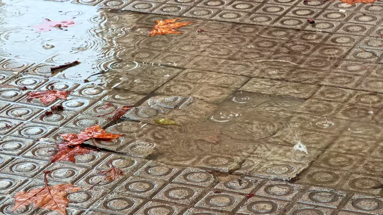 Top-down view of autumn rain forming puddles on textured pavement with leaves