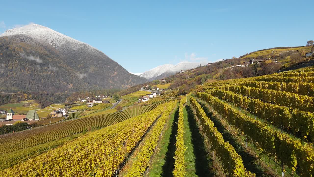 남쪽 티롤의 가을에 포도원 위에 공중 무인 항공기