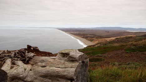 Toma-Panorámica-De-La-Playa-Y-La-Costa-De-Point-Reyes-En-Un-Día-Nublado-Con-Registro-Muerto-En-Primer-Plano